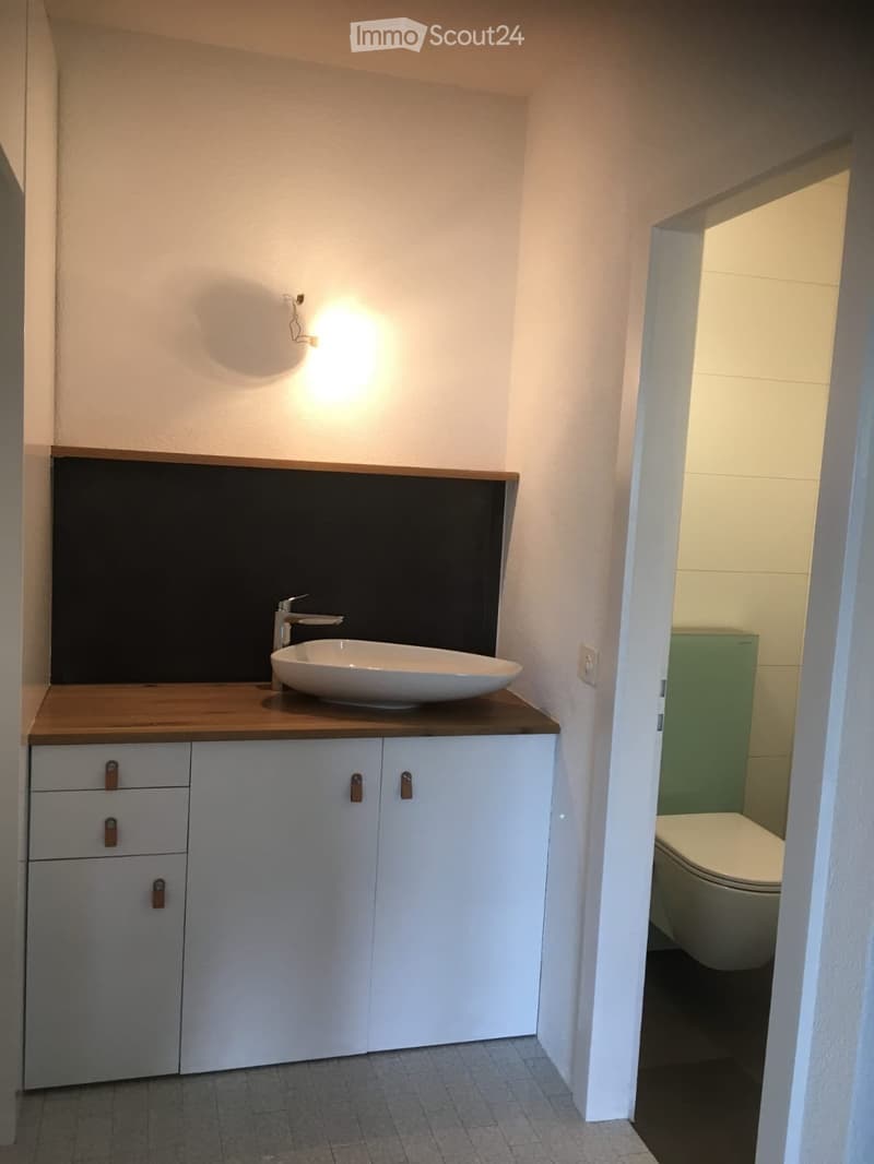 Appartement 6 1/2 - à louer dès octobre (4)
