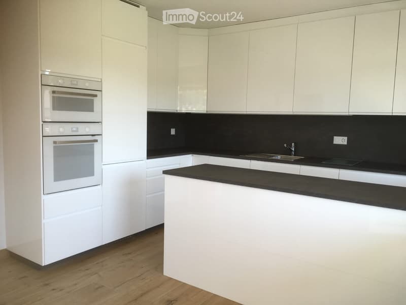 Appartement 6 1/2 - à louer dès octobre (3)