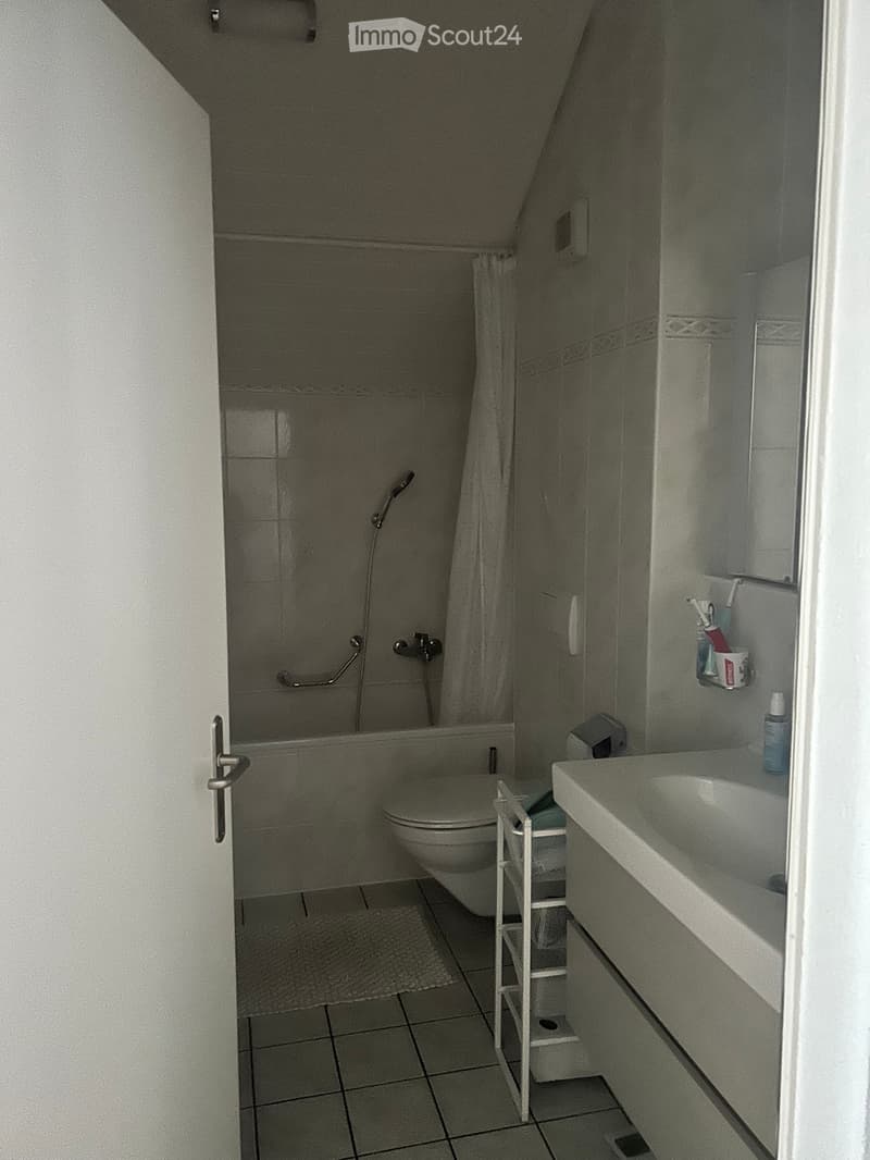 Spacieux appartement de 5,5 pièces avec mezzanine (5)