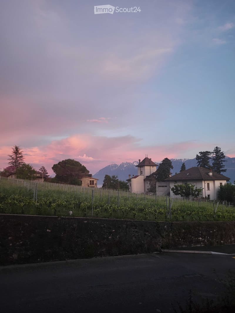 Beautiful 1.5 studio in Lutry 3 min to train station & lake (4)