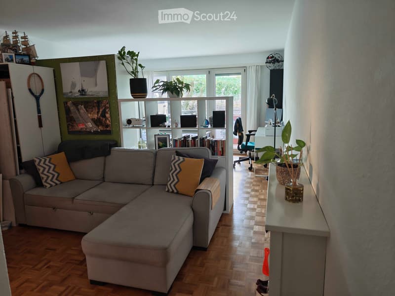 Beautiful 1.5 studio in Lutry 3 min to train station & lake (3)