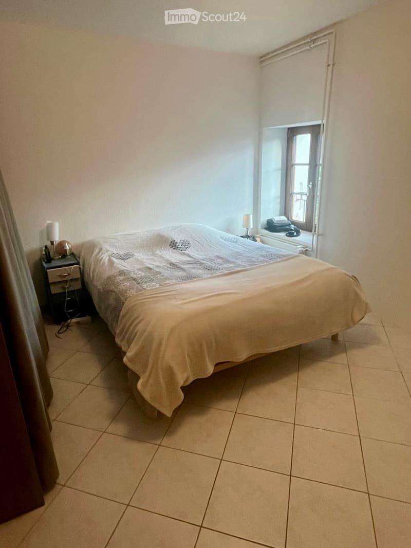 Bel appartement 5.5 pièces (3)
