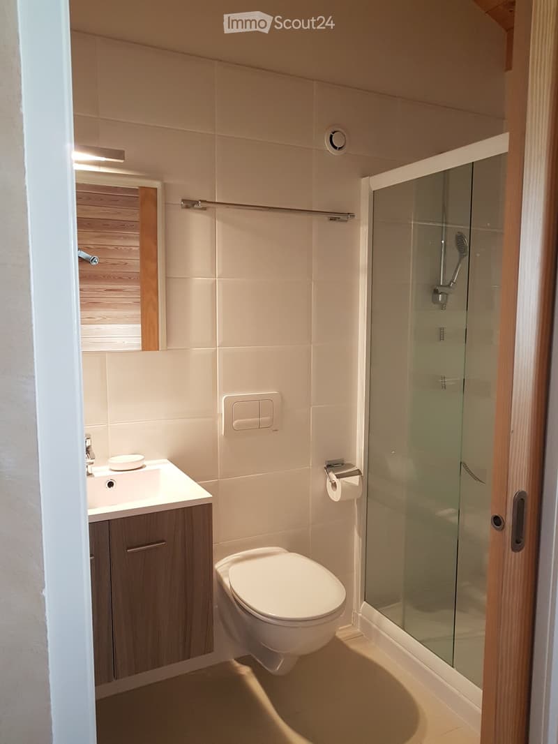 Appartement 4,5 pce dans une villa (3)