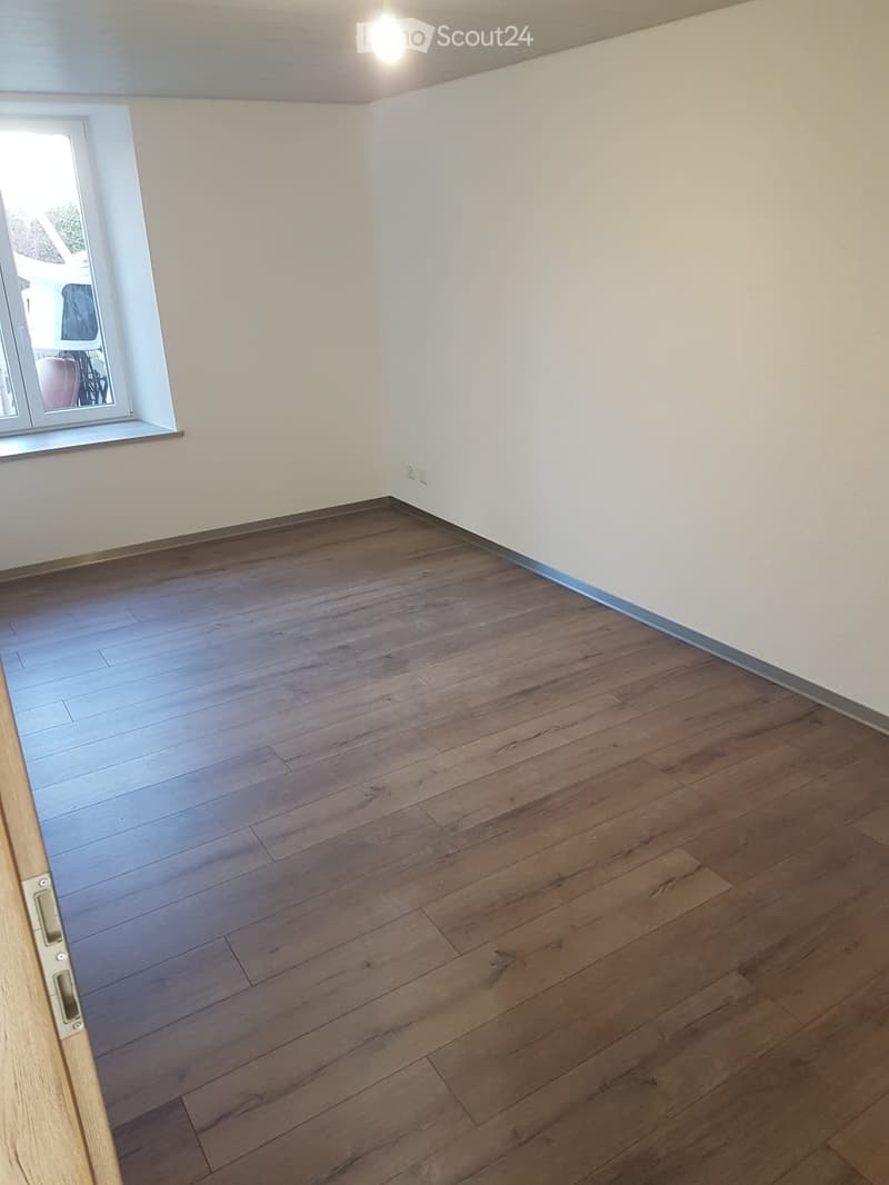 Appartement entièrement rénové, lumineux, 3,5 pièces (4)