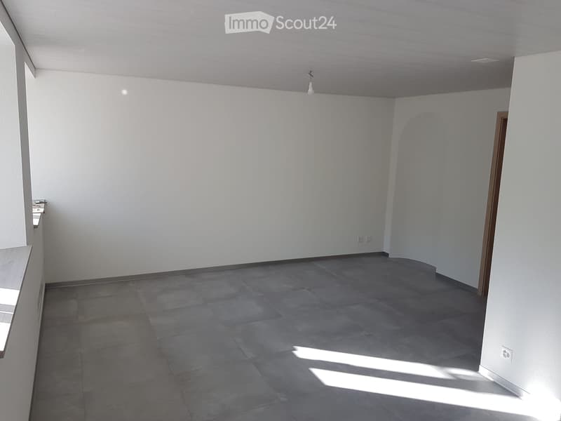 Appartement entièrement rénové, lumineux, 3,5 pièces (3)