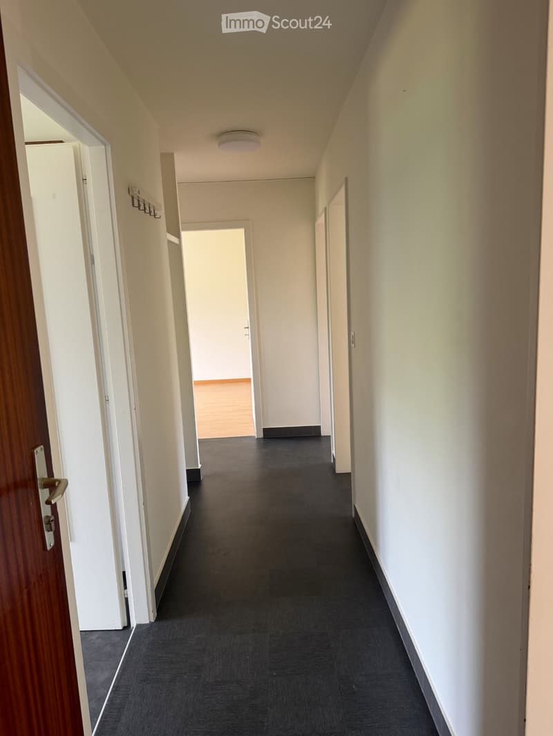 Appartement lumineux de 4 pièces (4)