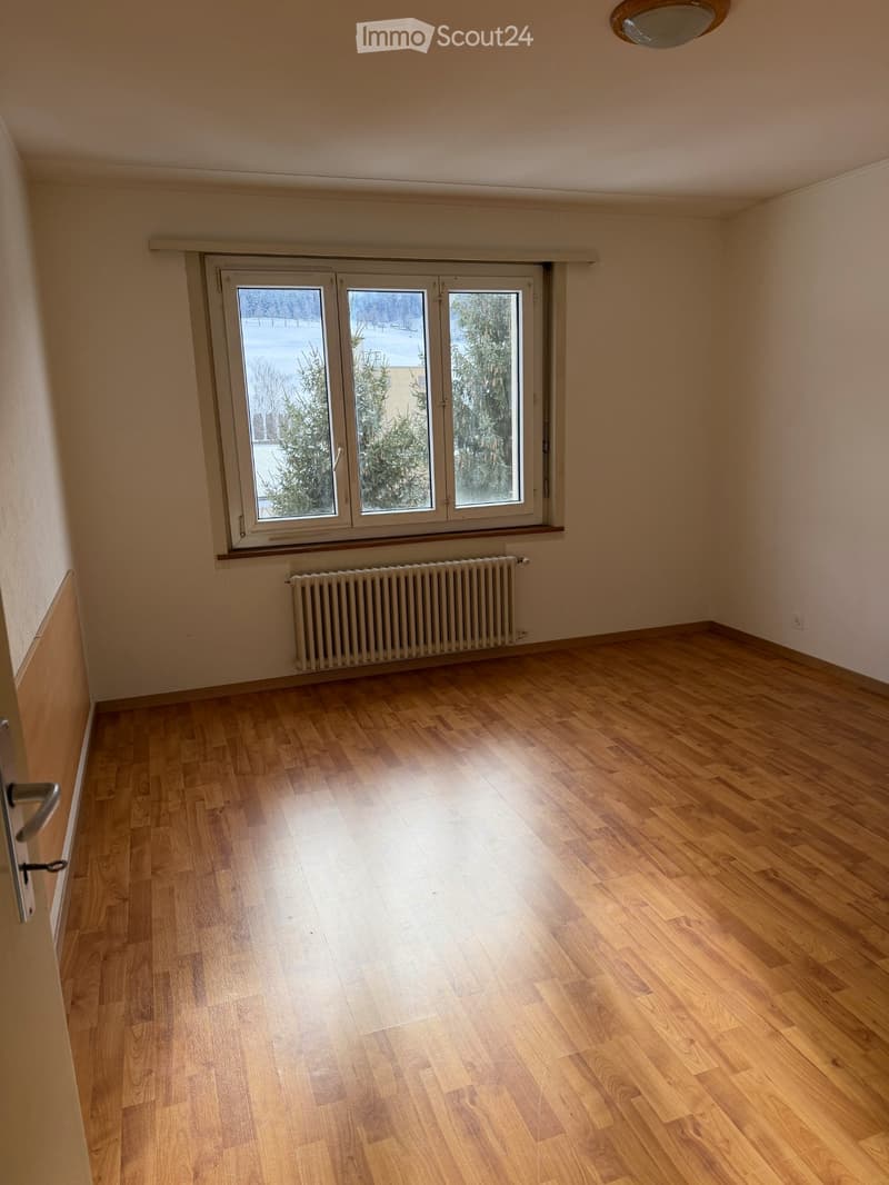 Appartement lumineux de 4 pièces (2)