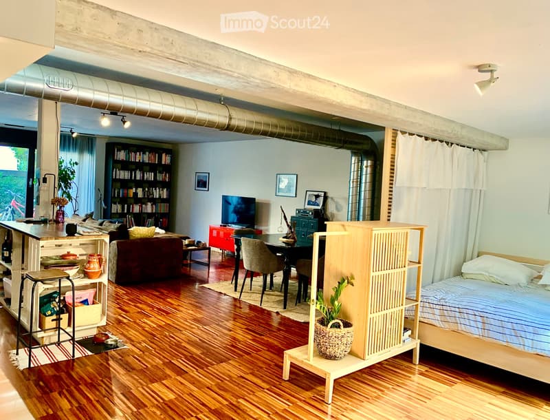 LOFT au REZ de CHAUSSEE (4)
