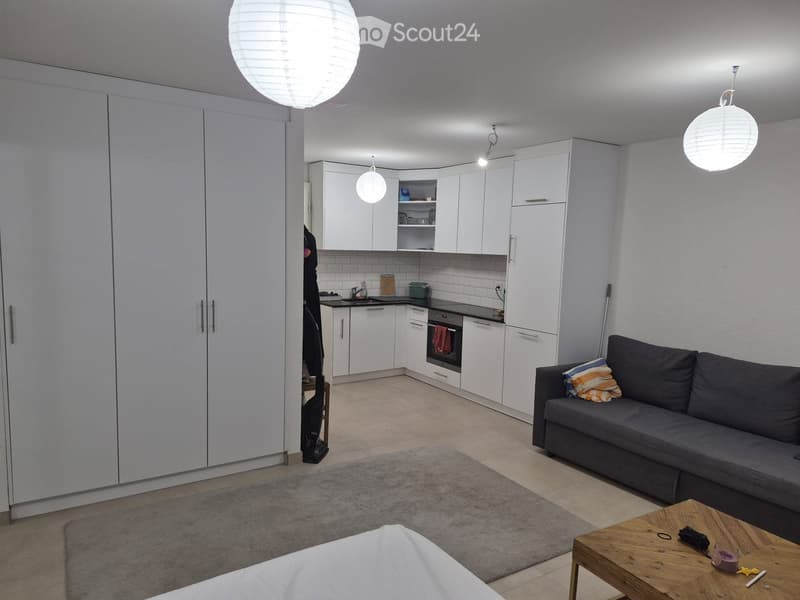 Spacieux appartement 1 pièces 48m² (1)