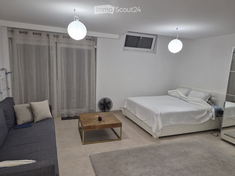 Spacieux appartement 1 pièces 48m² (3)