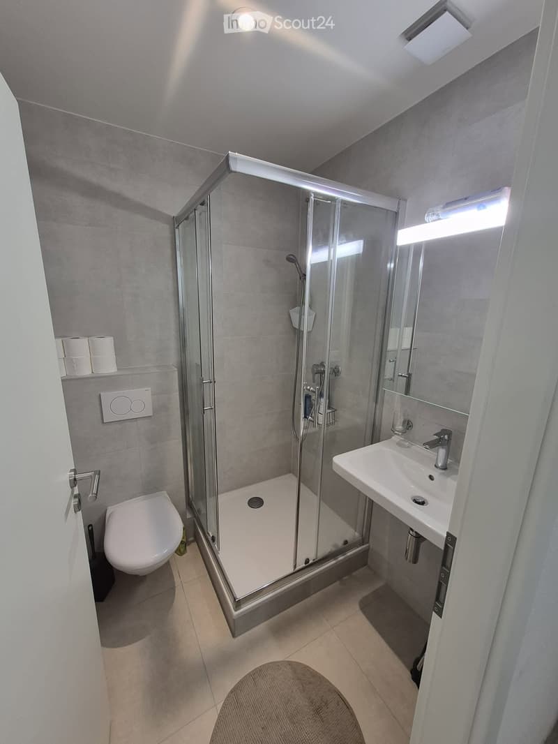 Spacieux appartement 1 pièces 48m² (4)