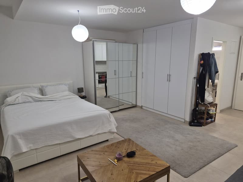 Spacieux appartement 1 pièces 48m² (5)