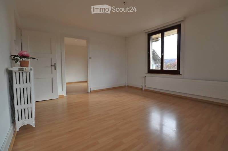 Grosse, helle, gemütliche Wohnung (2)
