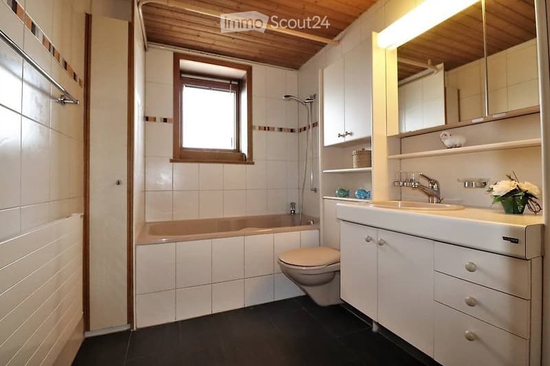 Grosse, helle, gemütliche Wohnung (3)