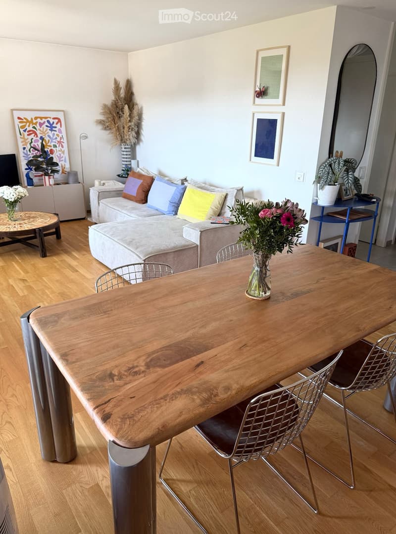 Appartement 3,5 pièces entièrement rénové avec vue (2)