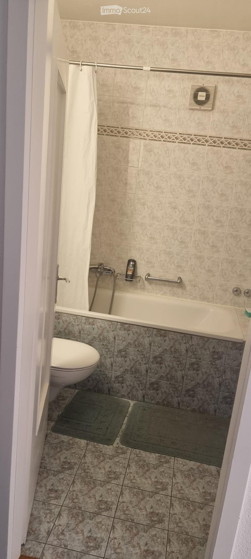Á louer jolie appartement 2 pièces et demi (3)