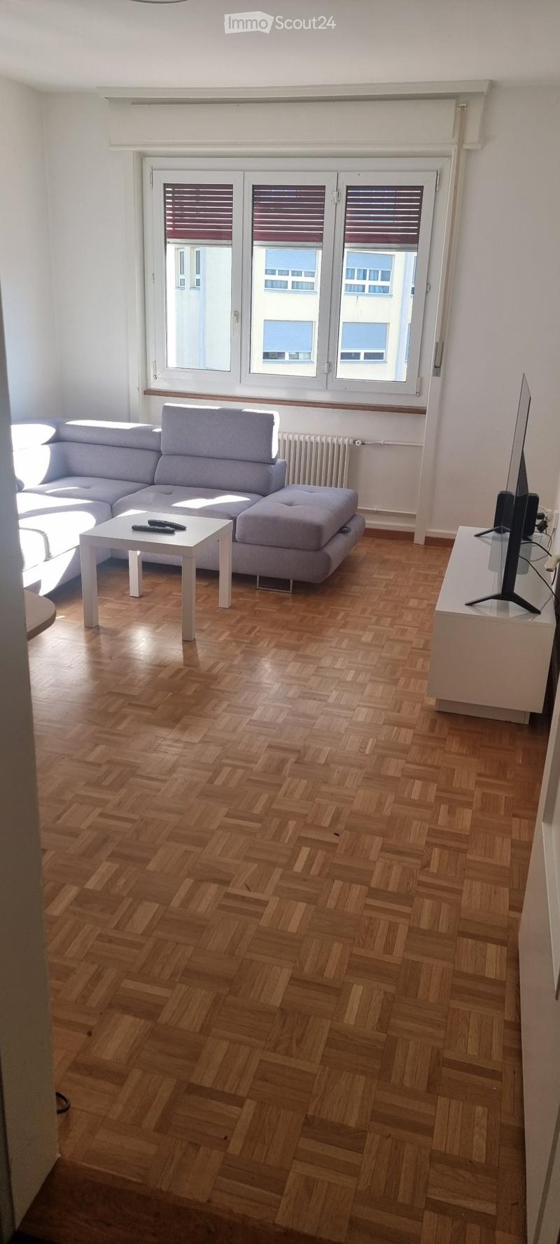 Á louer jolie appartement 2 pièces et demi (1)