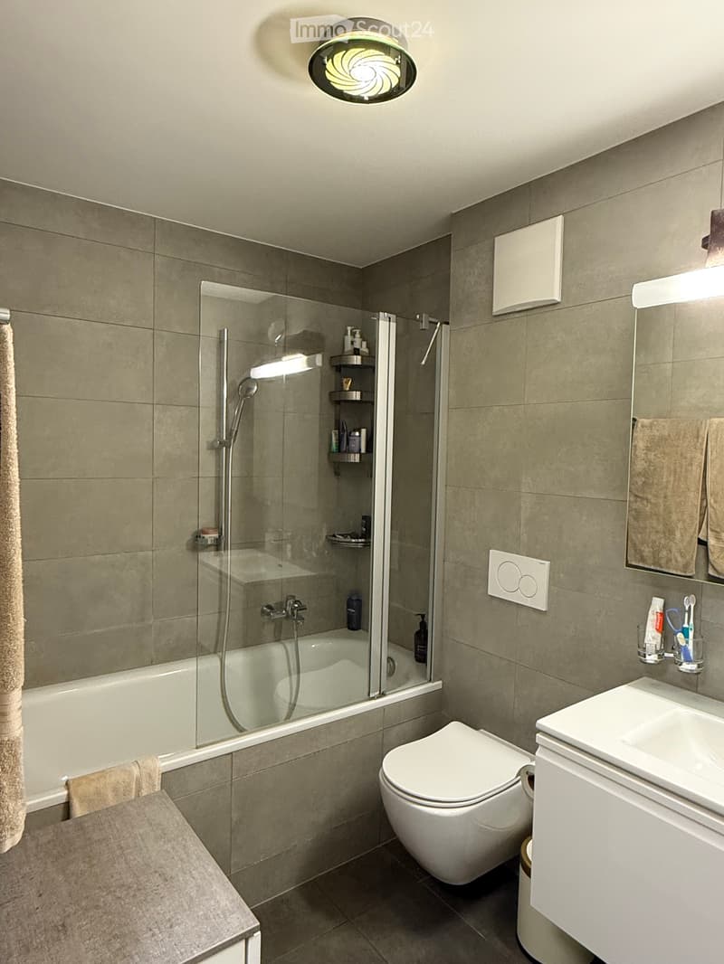 À louer - Superbe appartement 3.5 pces en attique avec vue (3)