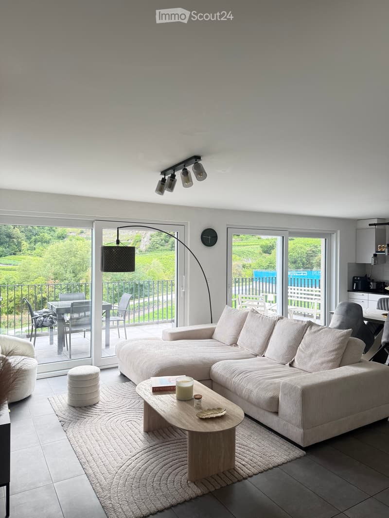 À louer - Superbe appartement 3.5 pces en attique avec vue (1)