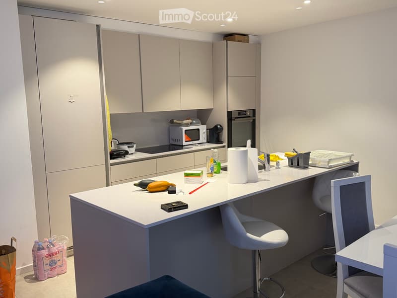 Apparemment 3.5 Rez de chaussée avec privé (2)