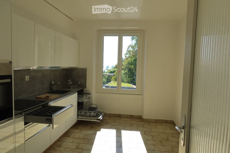 Magnifique appartement, calme et verdoyant, à Neuchâtel (3)