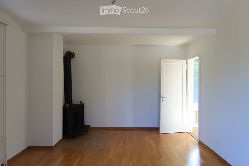 Magnifique appartement, calme et verdoyant (4)
