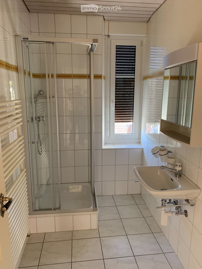 Appartement de 4 pièces avec garage à louer (2)