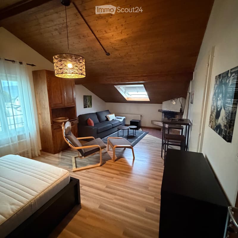 Studio meublé avec cachet (4)