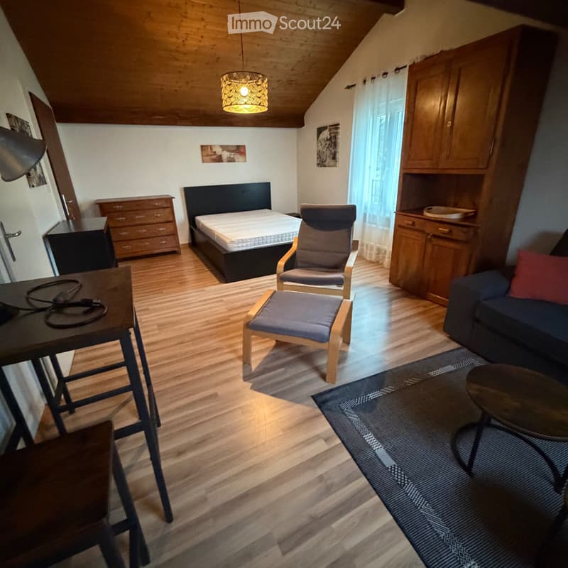 Studio meublé avec cachet (3)