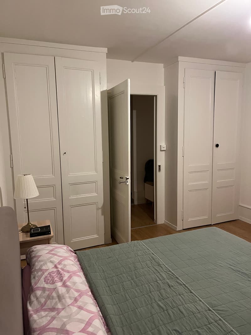 Appartement rénové au centre de Colombier (3)