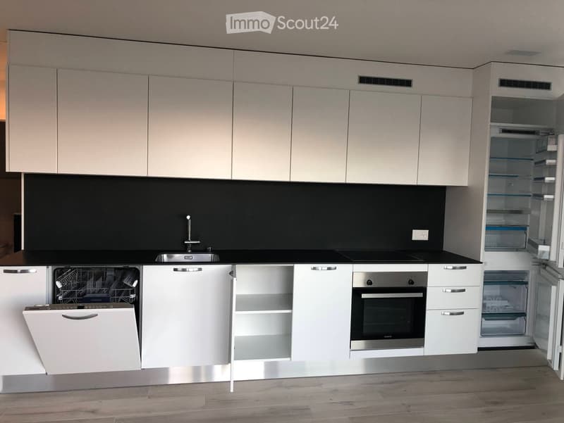 Charmant 2.5 pièces moderne avec balcon, vue dégagée à Gimel (2)