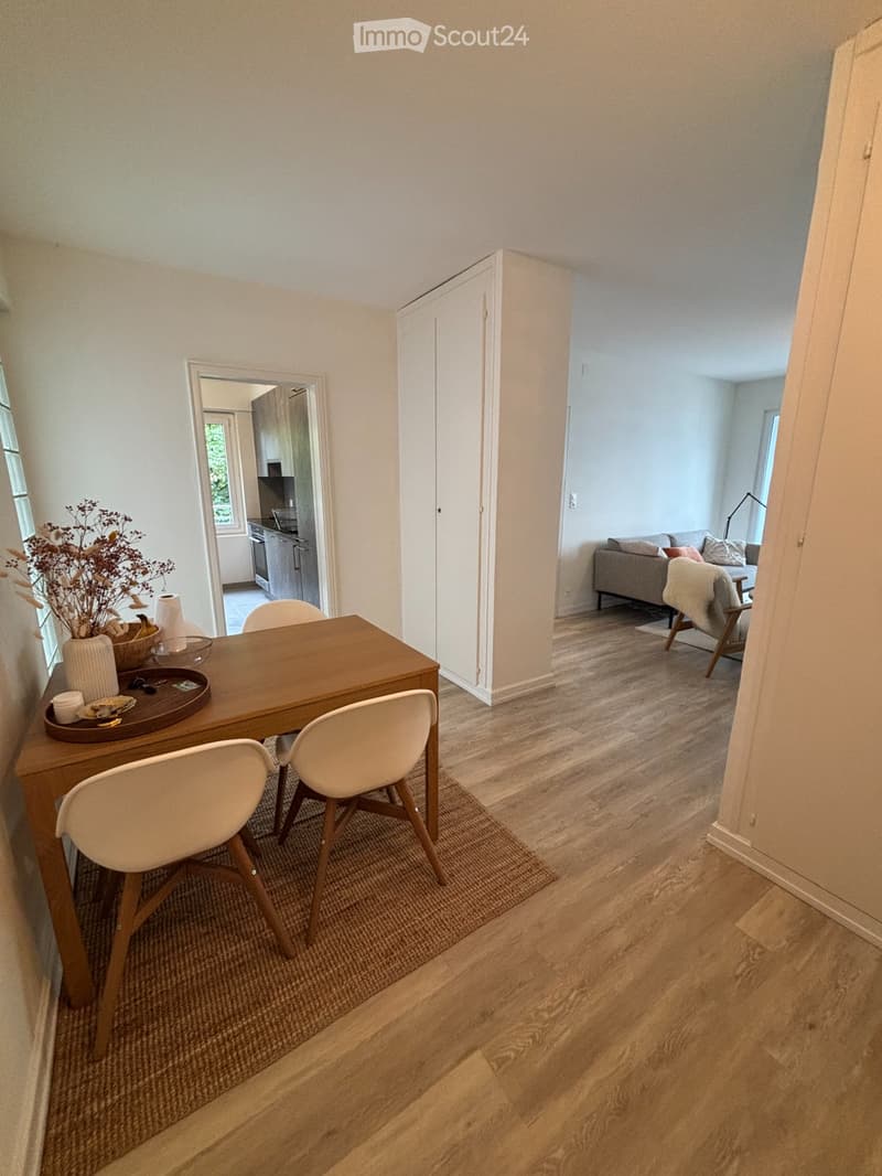 A louer appartement 2.5 pièces à 5 minutes à pied du lac (4)