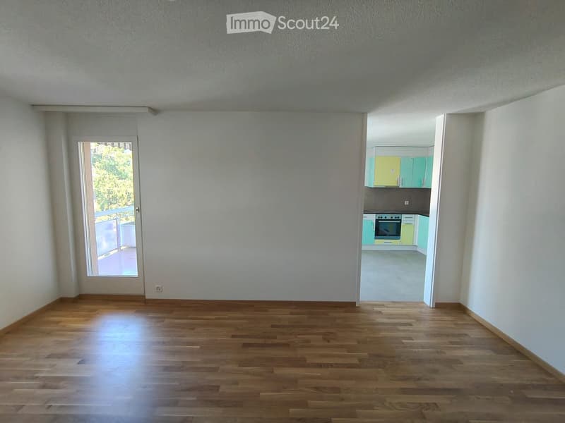 superbe appartement 4.5 pièces - disponible immédiatement (10)