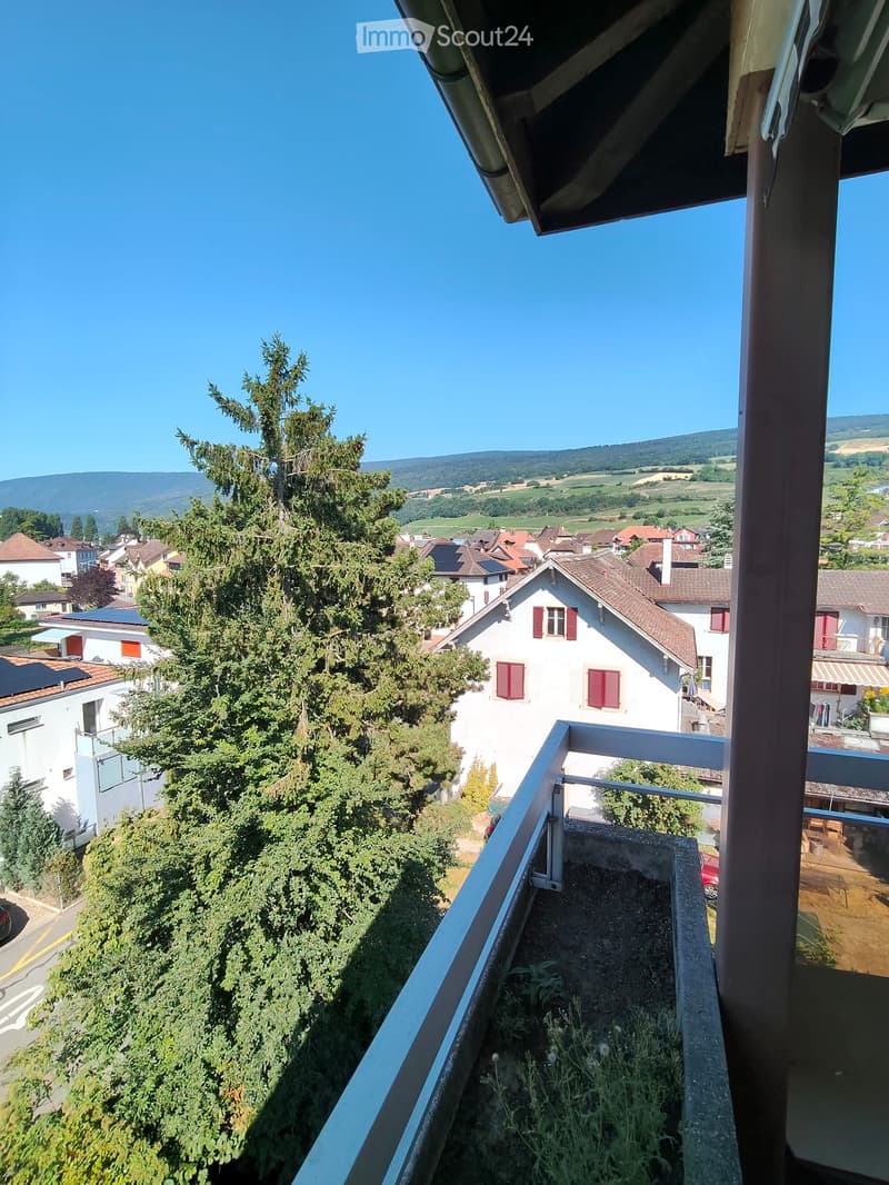 superbe appartement 4.5 pièces - disponible immédiatement (1)