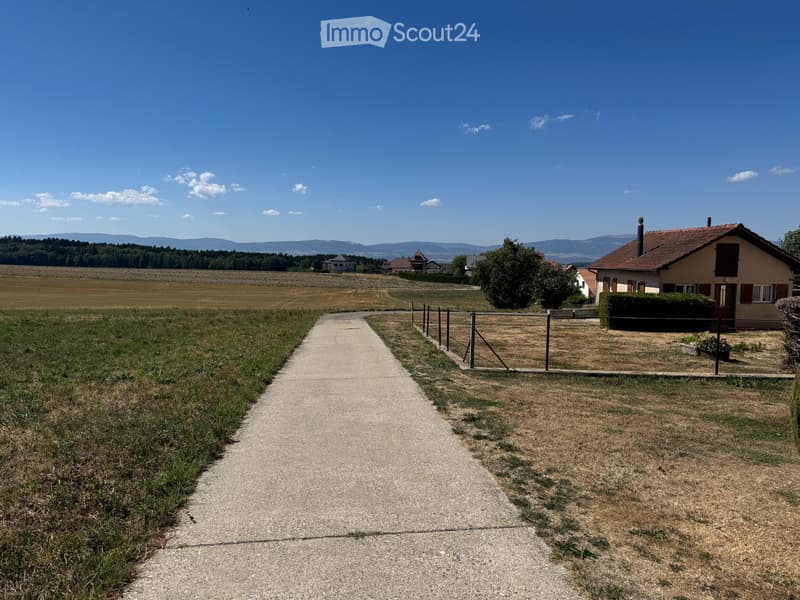 APPARTEMENT 3.5 PIÈCES DE PLAIN-PIED AVEC TERRASSE (5)