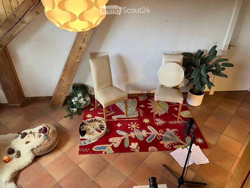 1,5 p à louer dans grand appartement+cheminée et jardin (4)