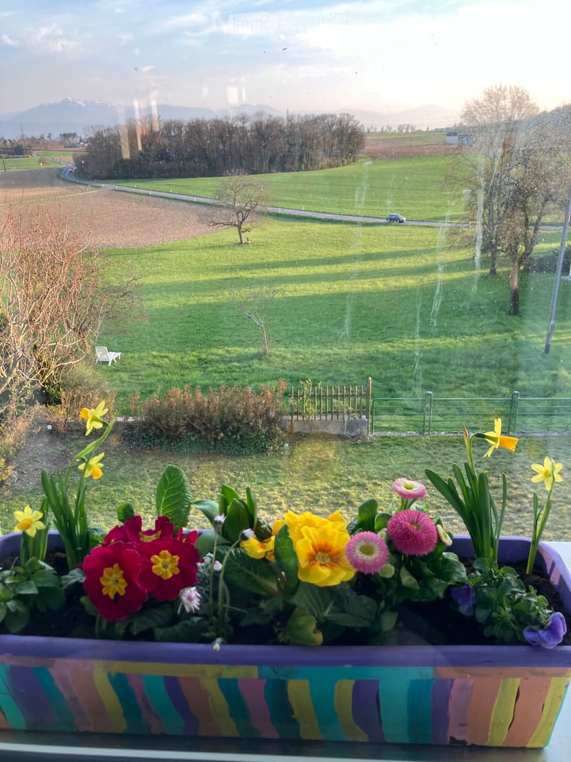 1,5 p à louer dans grand appartement+cheminée et jardin (1)