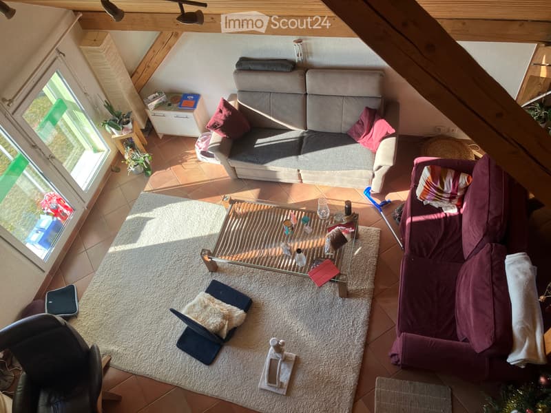 1,5 p à louer dans grand appartement+cheminée et jardin (3)