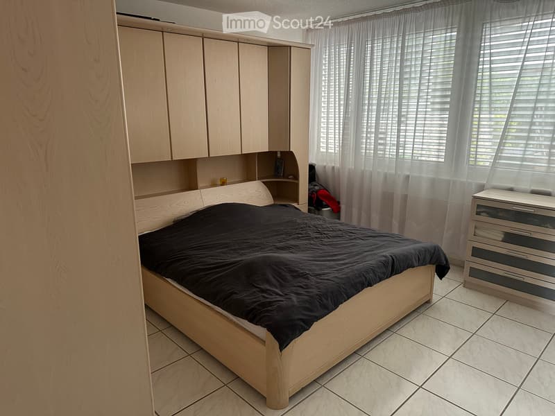 Aussergewöhnliche 5.5-Zimmer-Loftwohnung mit grossem Garten (4)