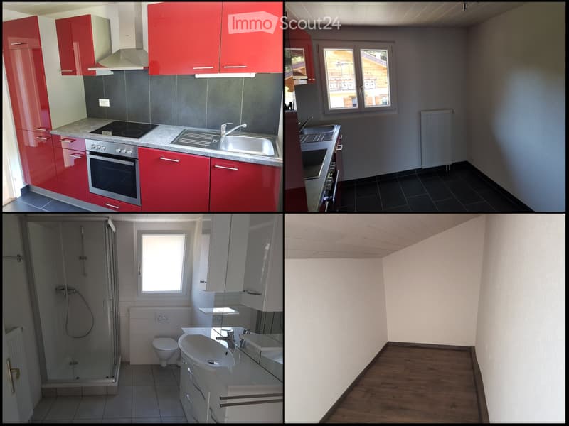 Appartement 3,5 pièces à louer (2)