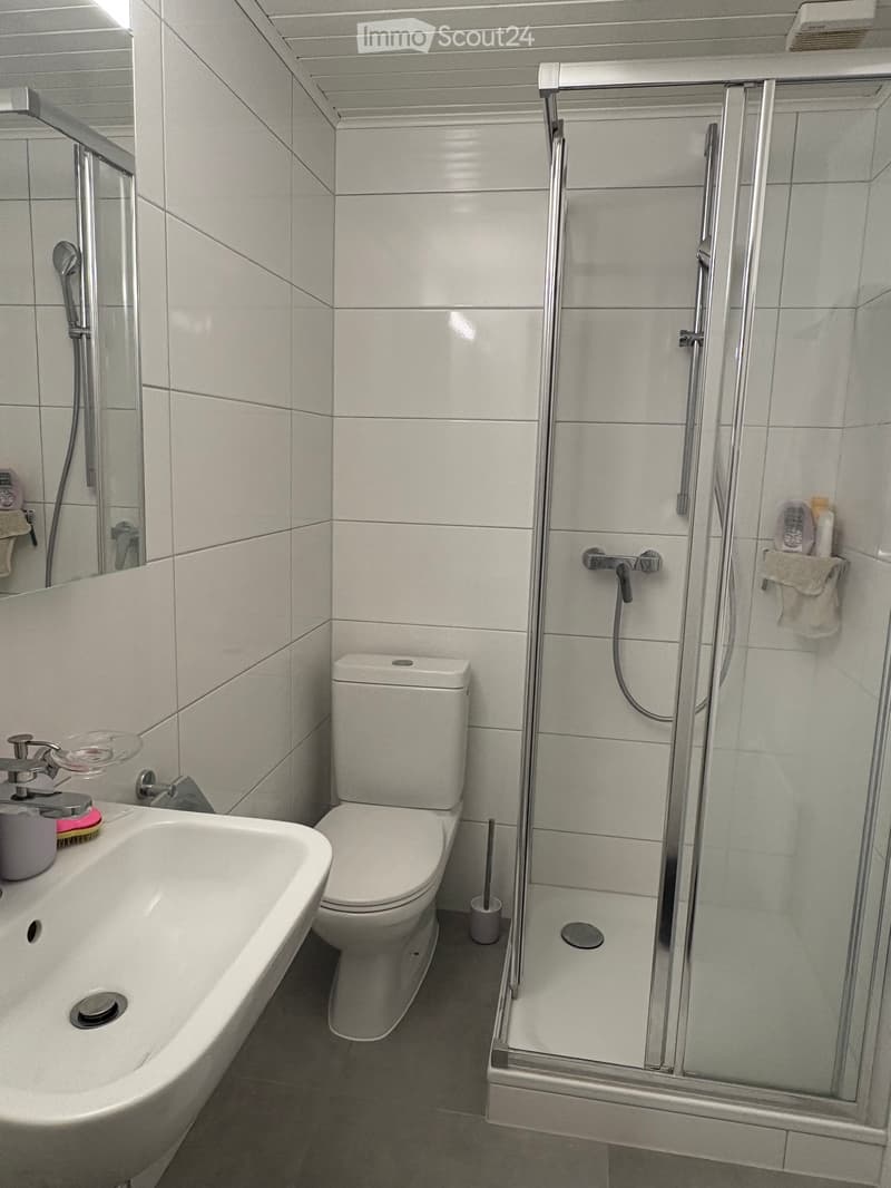 Appartement à louer / flat to rent (5)