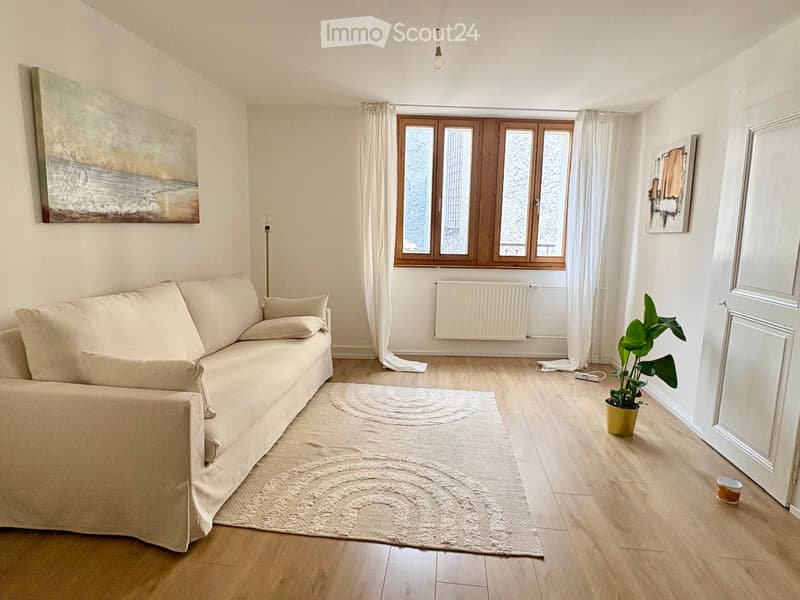 Appartement à louer / flat to rent (1)