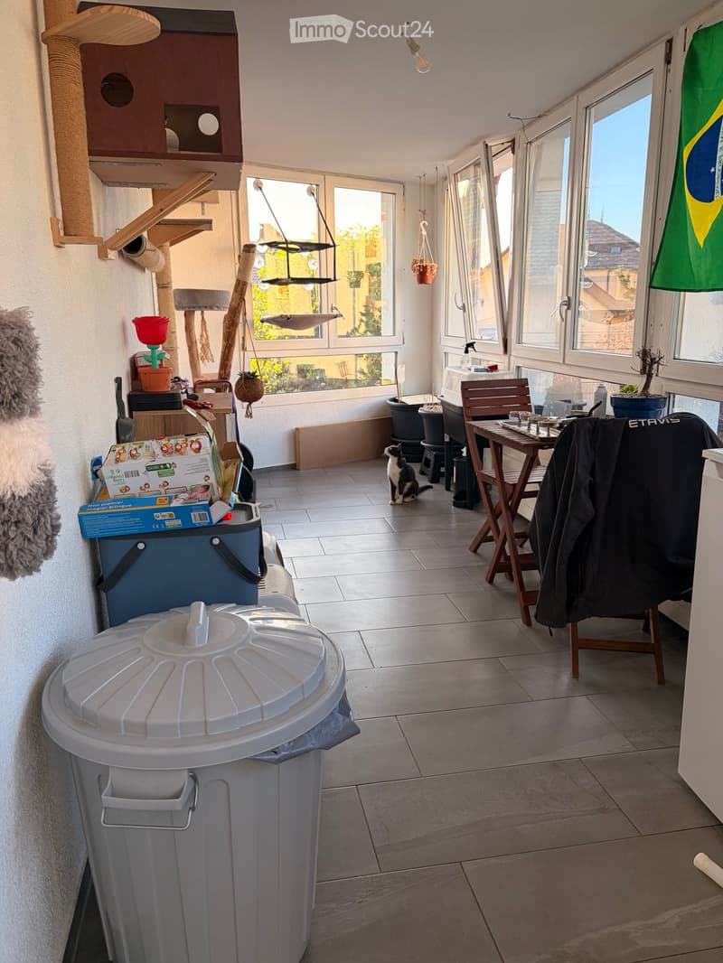 REPRISE DE BAIL APPARTEMENT À LOUER FIN NOVEMBRE 2026 (2)