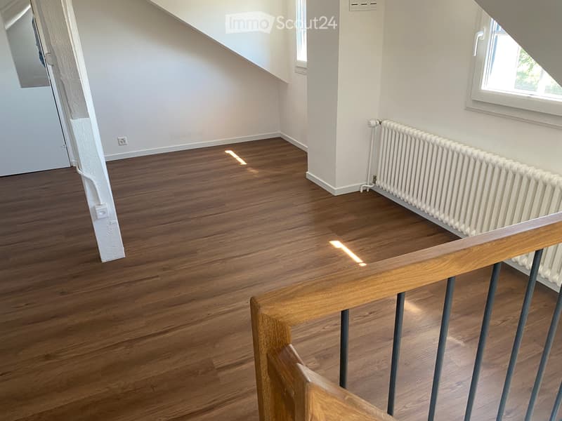Charmante maison individuelle (4)