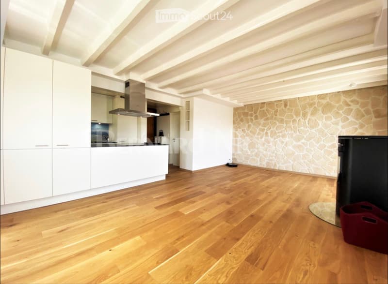 Charmante maison individuelle (5)