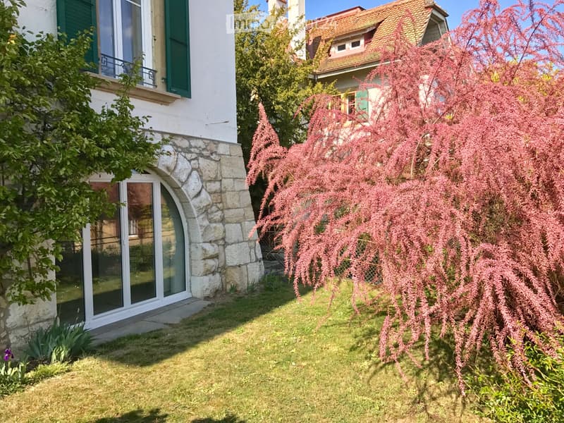 A louer studio à ETUDIANTE, quartier UniMail, Neuchâtel (5)