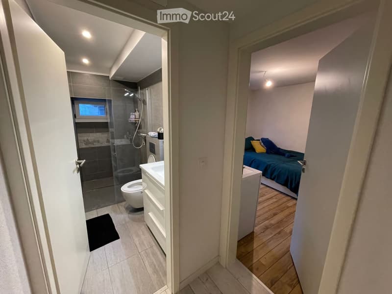 Appartement de 5.5 pièces avec terrasse (vieille ville) (5)