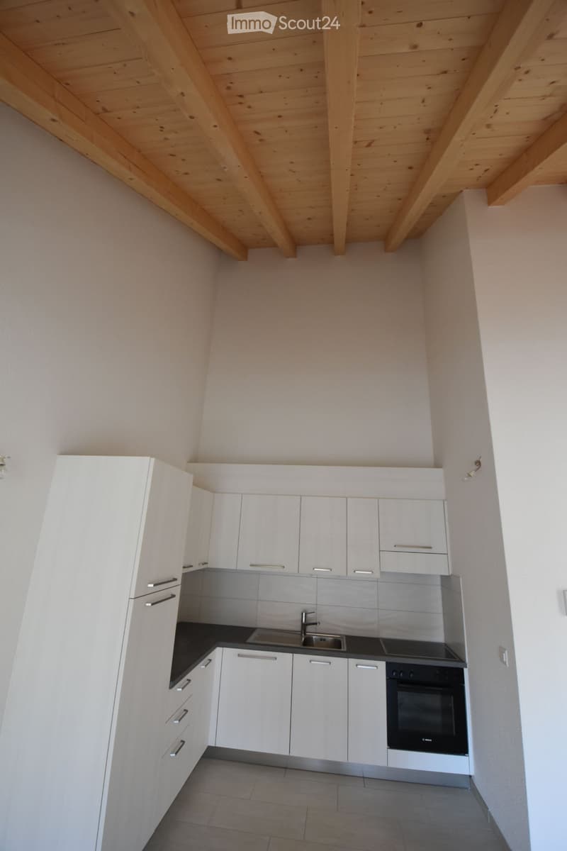 Magnifique appartement 2.5 pièces (55m2) vue sur les alpes (2)