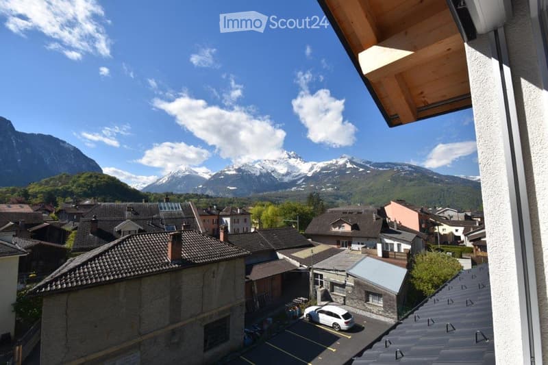 Magnifique appartement 2.5 pièces (55m2) vue sur les alpes (5)