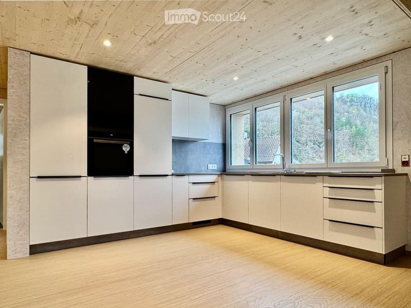 Newly build large loft style with private garden (4)